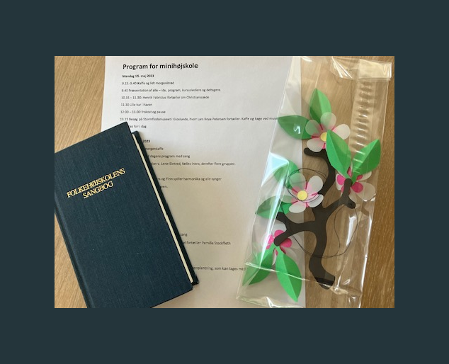 minihøjskole 2.png