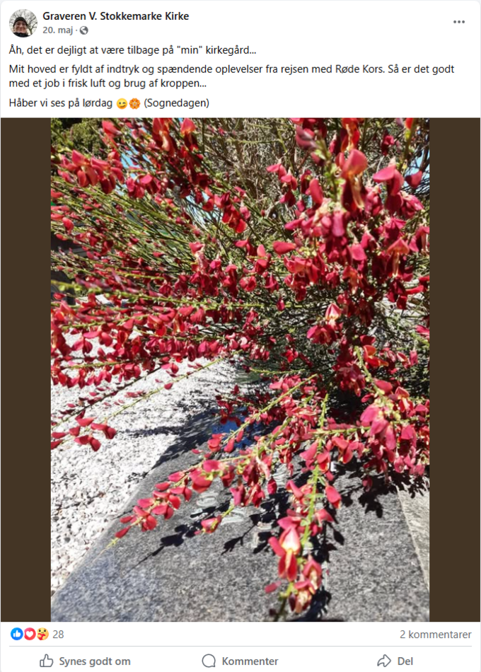 Skærmbillede 2025-06-24 115132.png