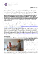 Biskoppens månedshilsen - juli 2020.pdf