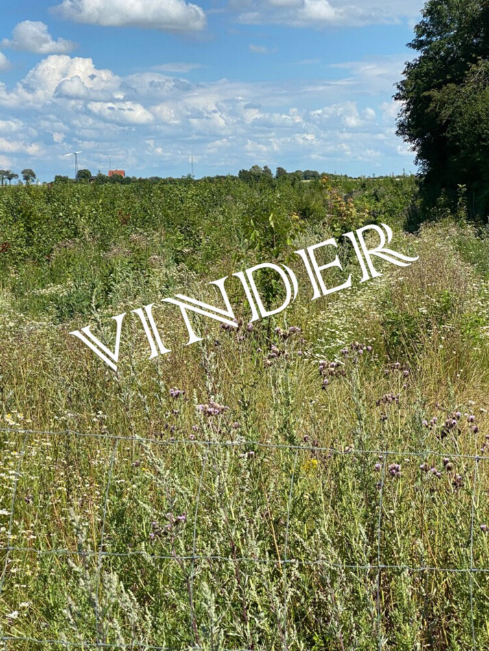 initiativpris vinder.jpg