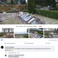 Skærmbillede 2025-07-02 103118.png