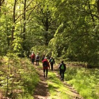 Pilgrimsvandring LF 2.jpg