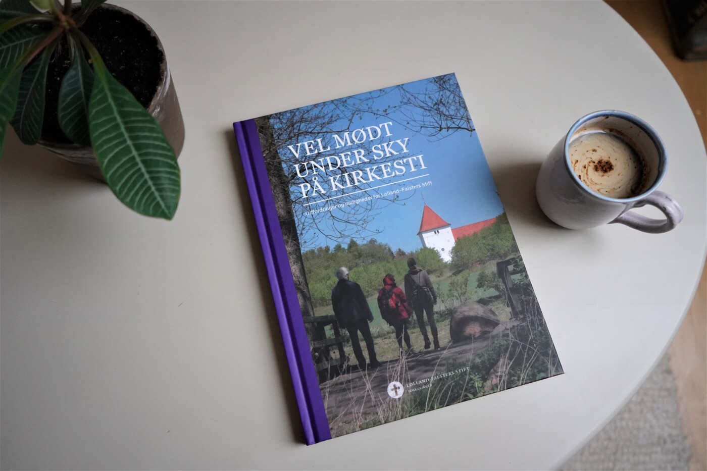 Hvidbogen - situationsbillede.jpg