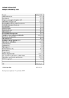 Budget stiftsbidrag 2020