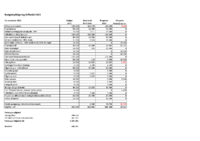 Budgetopfølgning Stiftsråd_november 2021 LOF.pdf