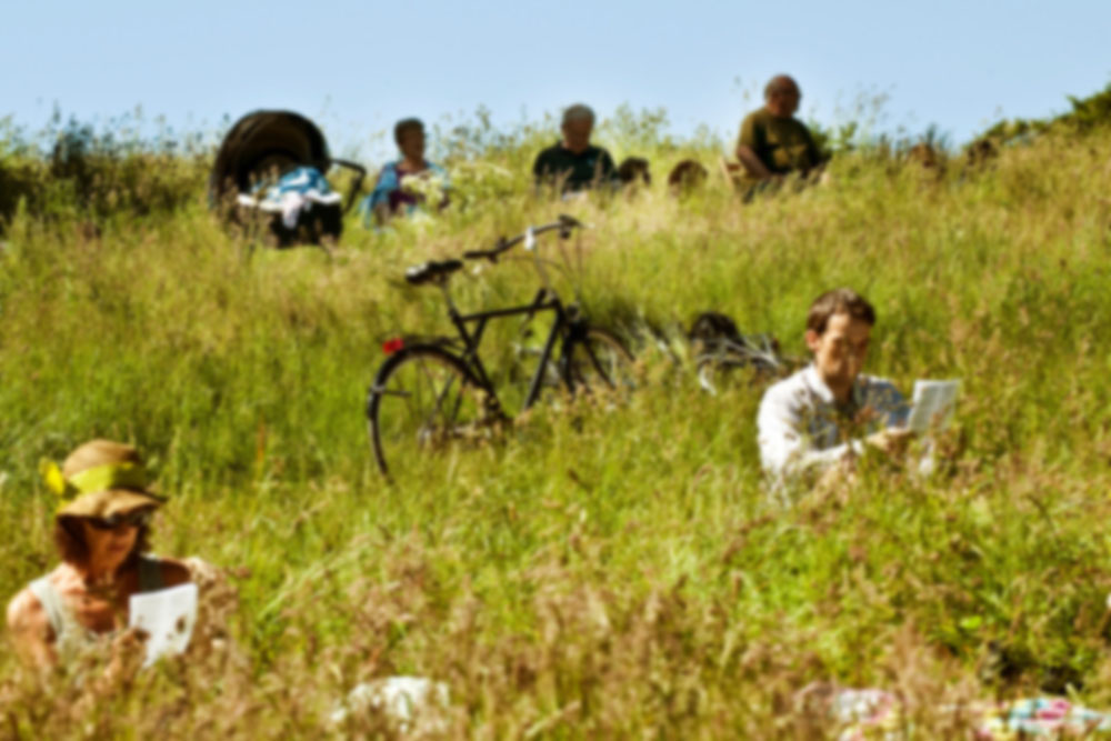 hørhaven _DSC0074-1000x667 kopier Sløret.jpg