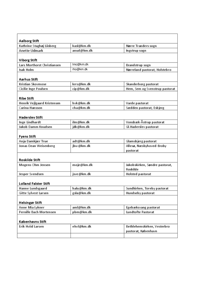 Netværk Folkekirke for Særlige Behov 240619.pdf