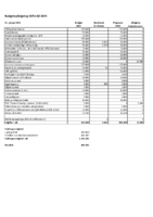 Budgetopfølgning Stiftsråd 2021 januar.pdf