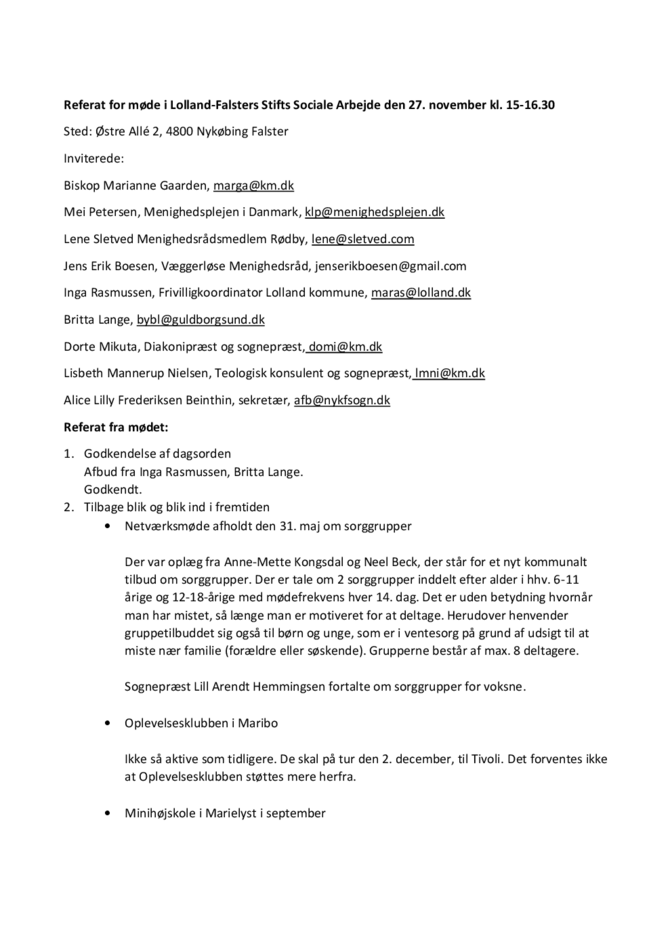 Referat november 2024 LFSA.pdf