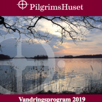 Skærmbillede 2019-03-12 kl. 13.02.55.png