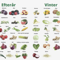 Skærmbillede 2024-11-14 140802.png