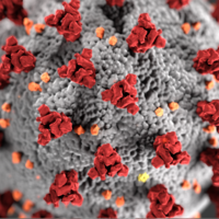 Coronavirus