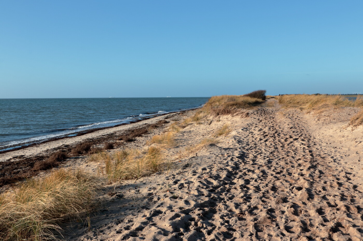 49413436423_4367b6f38f_k (2).jpg