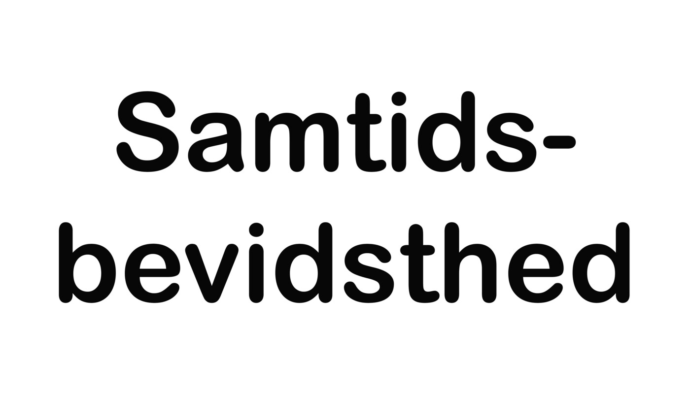 SKÆRM -skrift samtidsbevidsthed.jpg