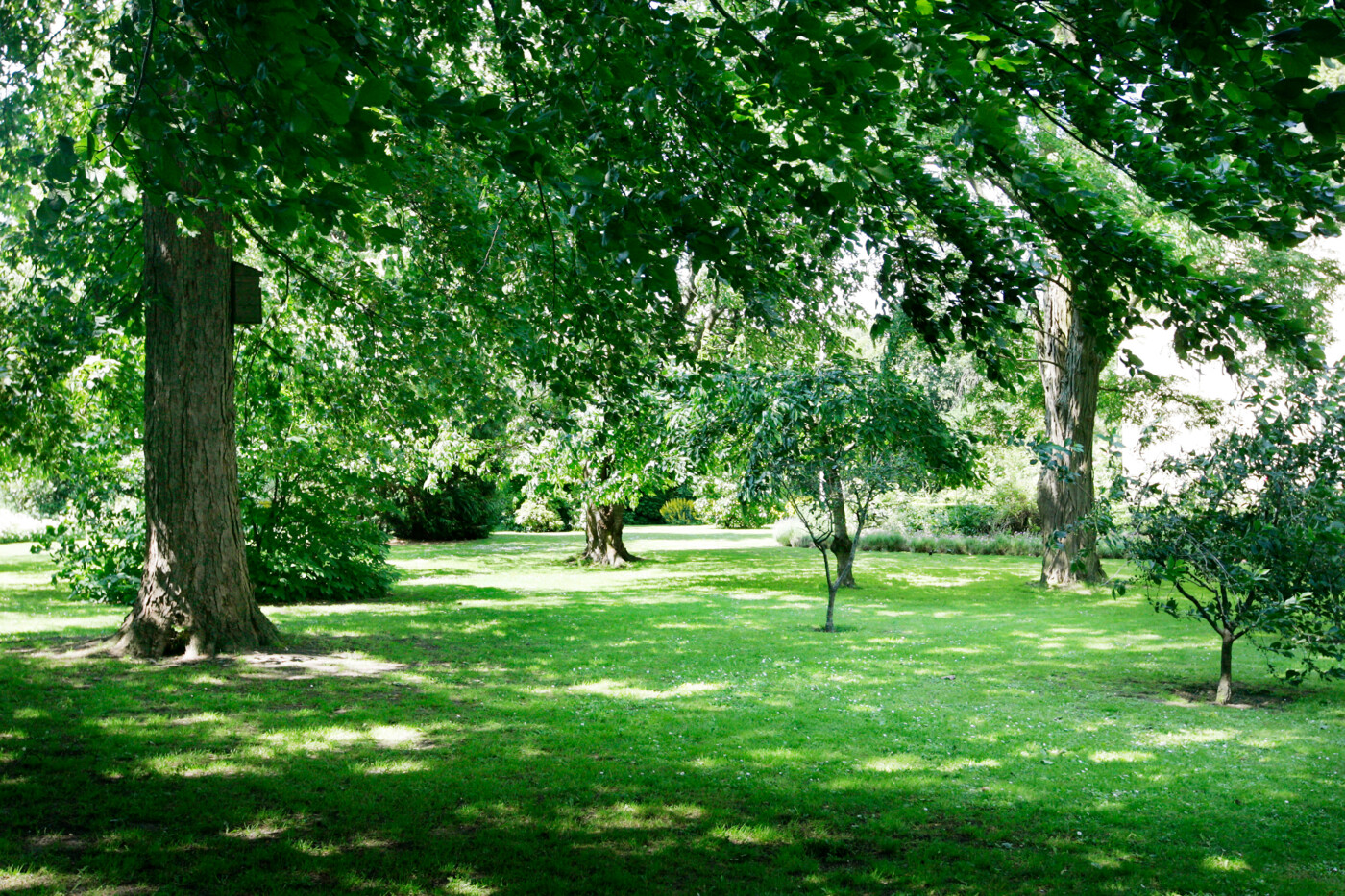 Bispegården (19).jpg