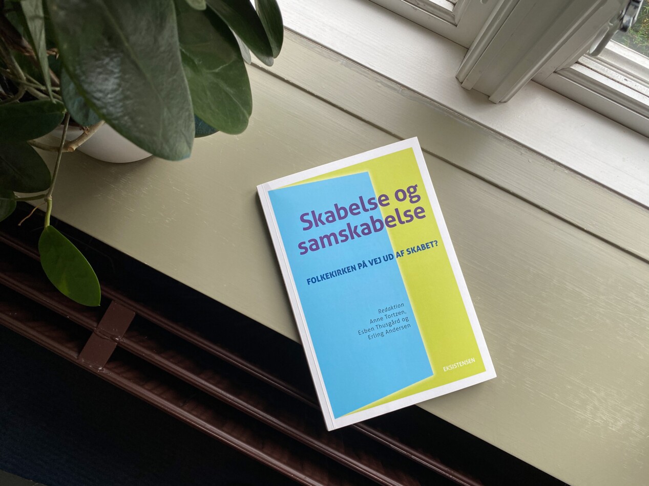 Skabelse og samskabelse.jpg