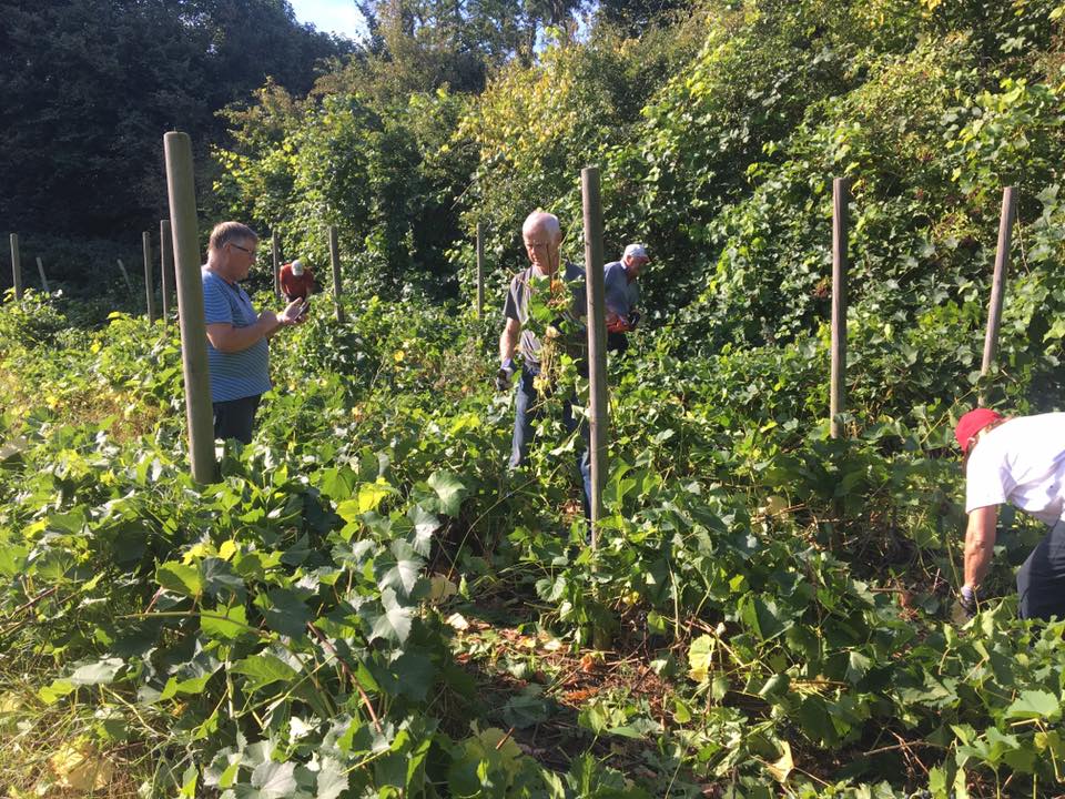 5. Altervin 2 fra væggerløse sogns facebookside.jpg