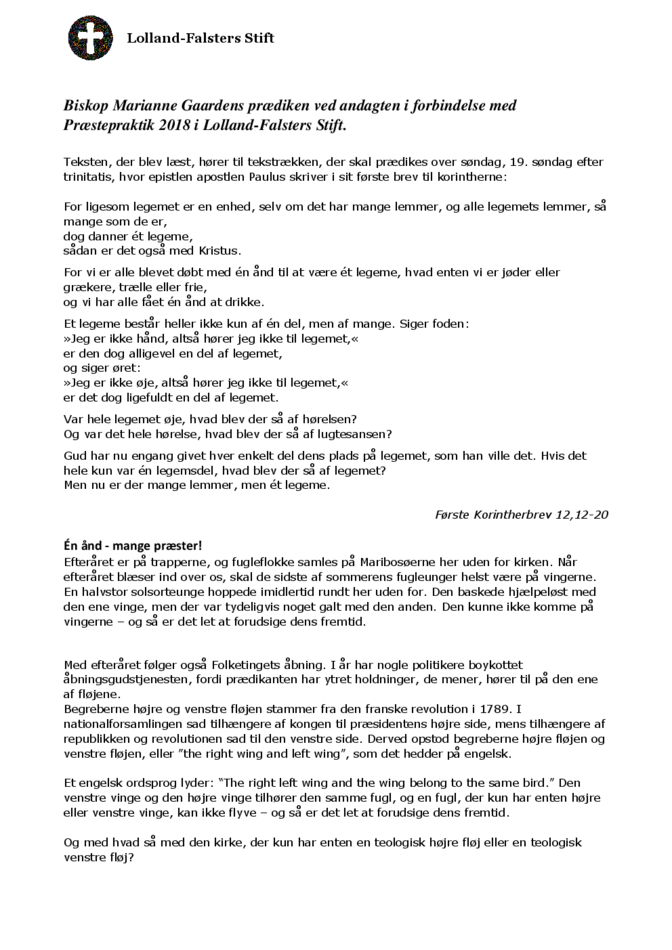 Prædiken_præstepraktik_2018.pdf