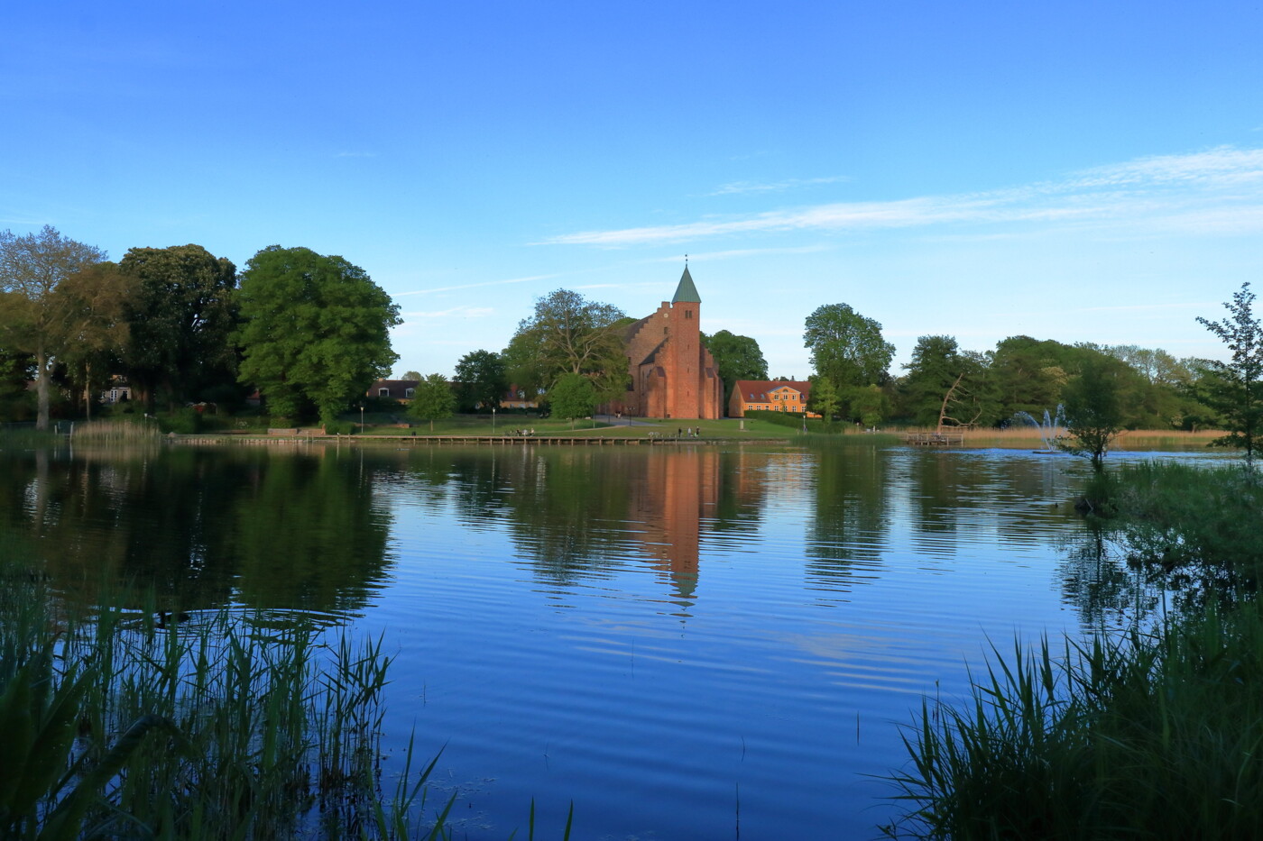 Foto Kevin McLaughlin.jpg