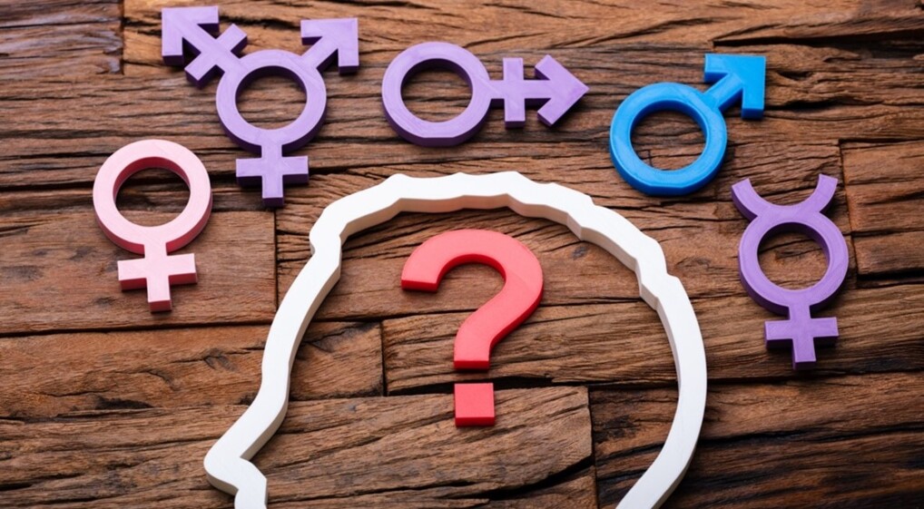 Køn, Identitet og normkritik LBGTQ+ usikkerhed