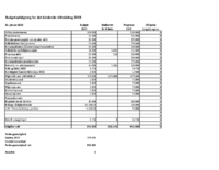 2_Budgetopfølgning Stiftsråd 2019.pdf