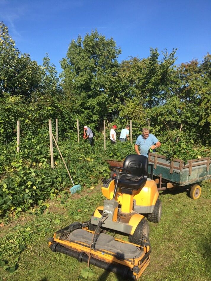 Altervin arbejde i haven.jpg