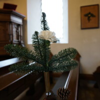 Blomst i Vase_Eskilstrup Kire.jpg