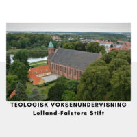 Teologisk Voksenundervisning billede