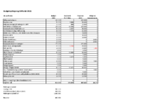Budgetopfølgning LOF Stiftsråd 2021_justeret efter møde 19.05.21.pdf