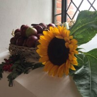 Horbelev Kirke_høst.jpg