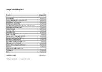 Budget_Stiftsbidrag_2017_-_uden_tidligere_år.pdf