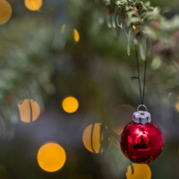 gran gren julekugle med julepynt-5760x3166-740x407.jpg