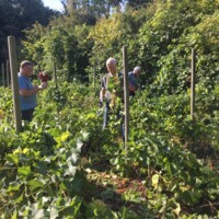 5. Altervin 2 fra væggerløse sogns facebookside.jpg