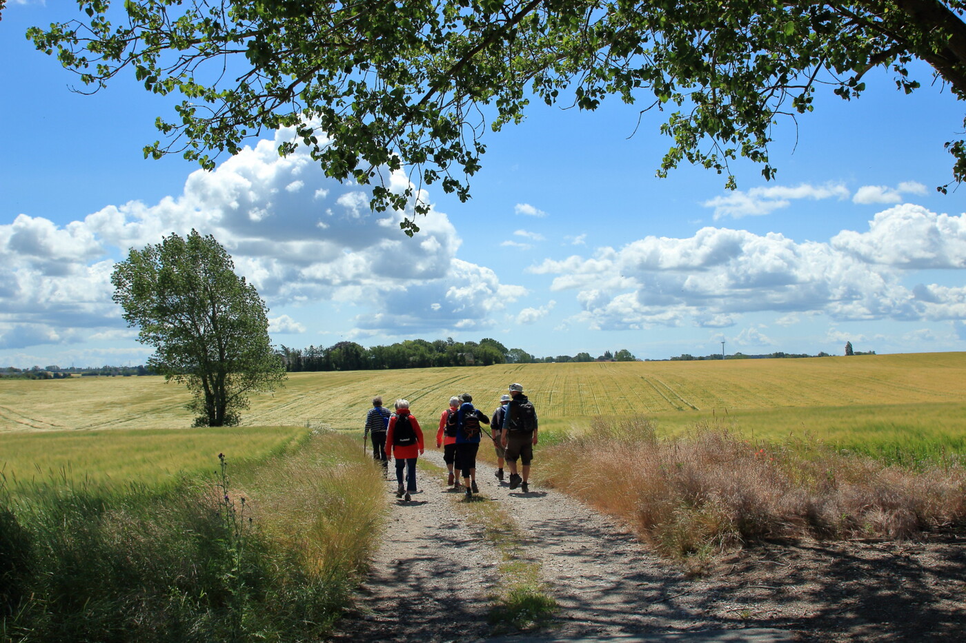 Pilgrimsvandring i Vålse