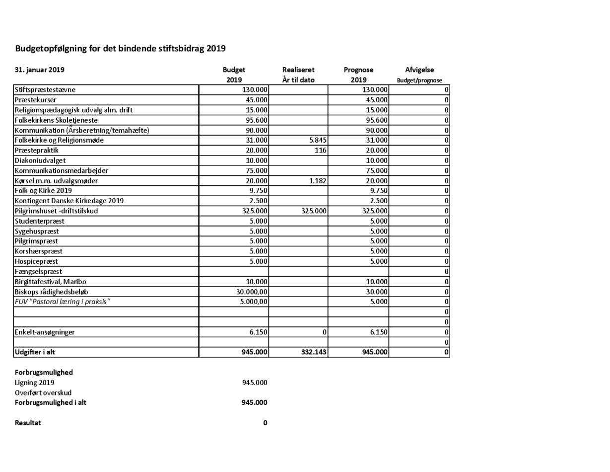 2_Budgetopfølgning Stiftsråd 2019.pdf