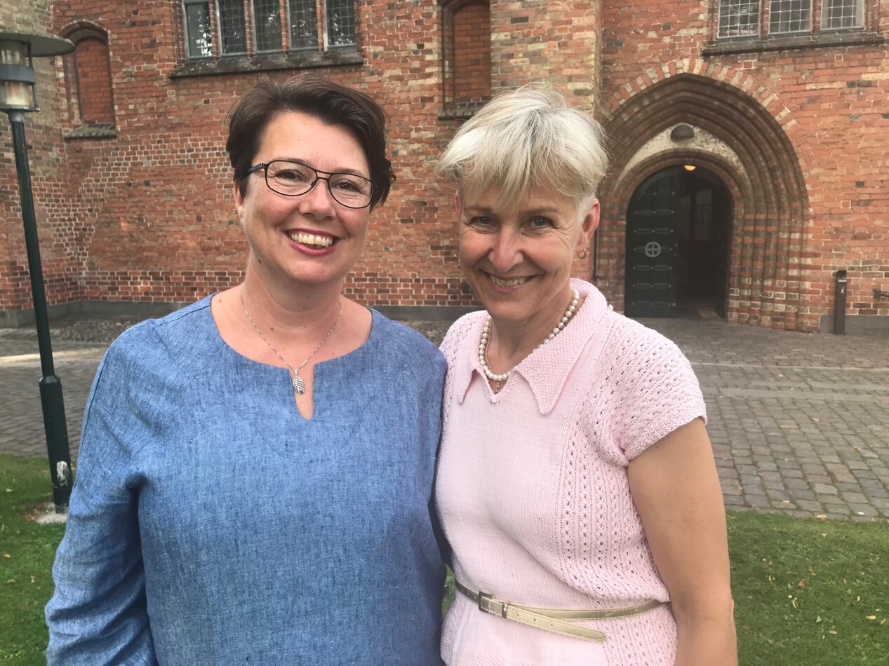 Rørth og Hägglund.jpg