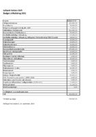 Budget stiftsbidrag 2021