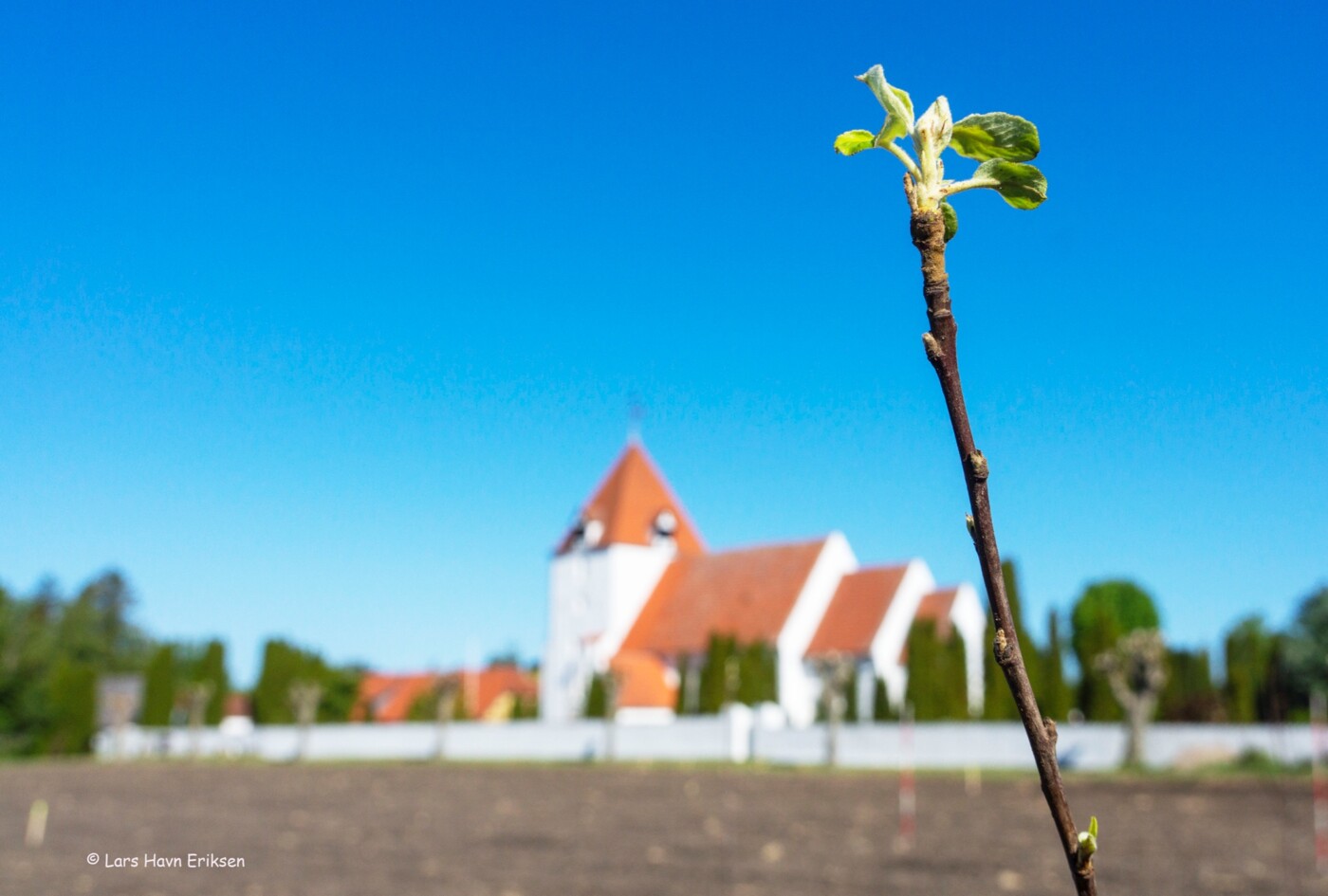 Træplantning ved Sandby Kirke.jpg