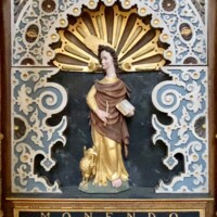 IMG_8528.jpg