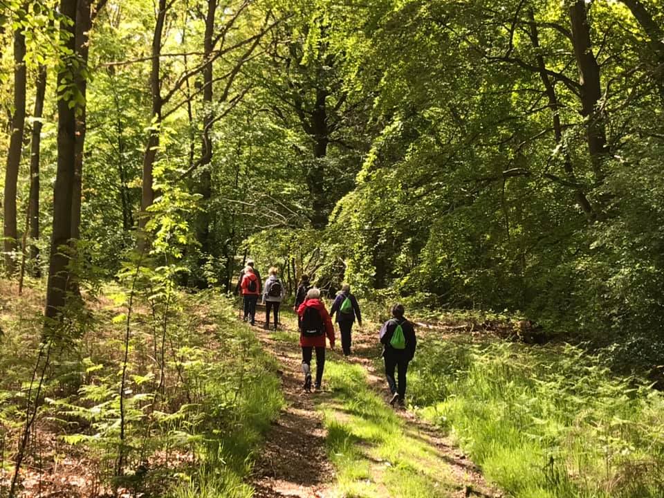 Pilgrimsvandring LF 2.jpg