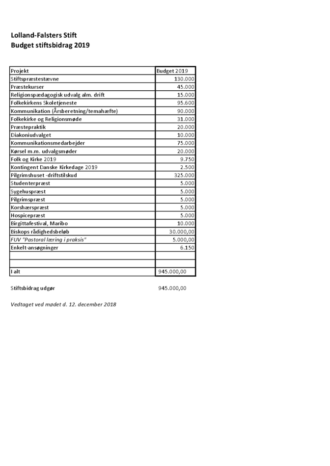 Budget Stiftsbidrag 2019.pdf