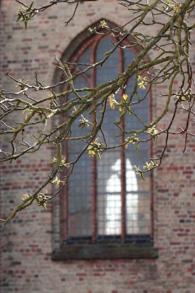 Side 179 - kirkevindue (foto Kevin McLaughlin).jpg