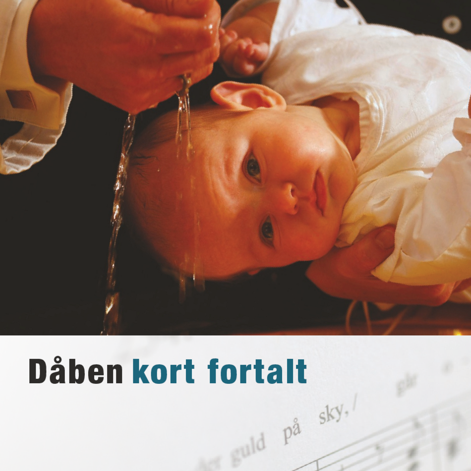 2019 jun rapport dåb kort