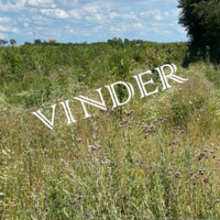 initiativpris vinder.jpg