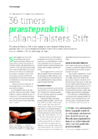 Artikel_præstepraktik_LOF.pdf