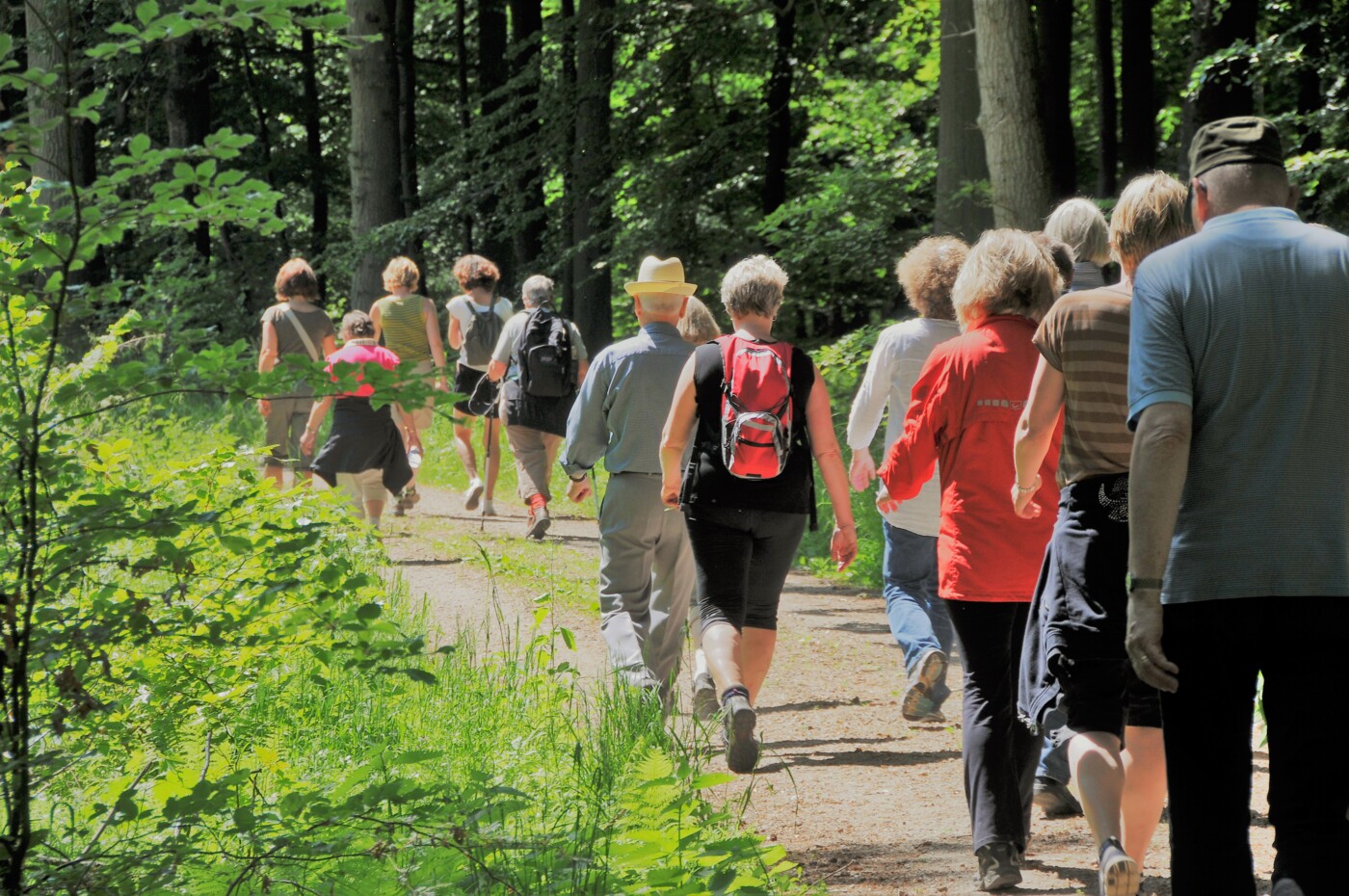 Pilgrimsvandring 1. Foto Nils Roland.jpg