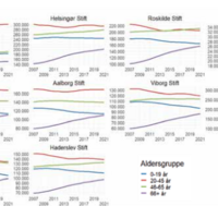Skærmbillede 2024-01-19 101128.png